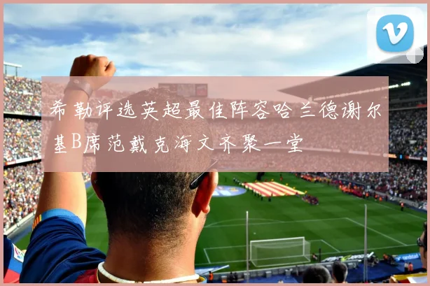 希勒评选英超最佳阵容哈兰德谢尔基B席范戴克海文齐聚一堂